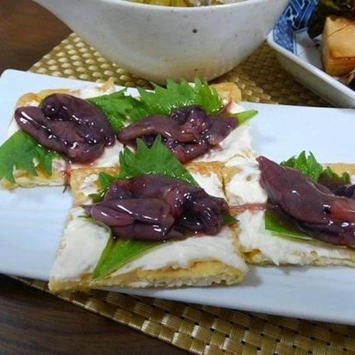 ハマるおいしさ ホタルイカの沖漬けの特徴 おすすめの食べ方 Macaroni