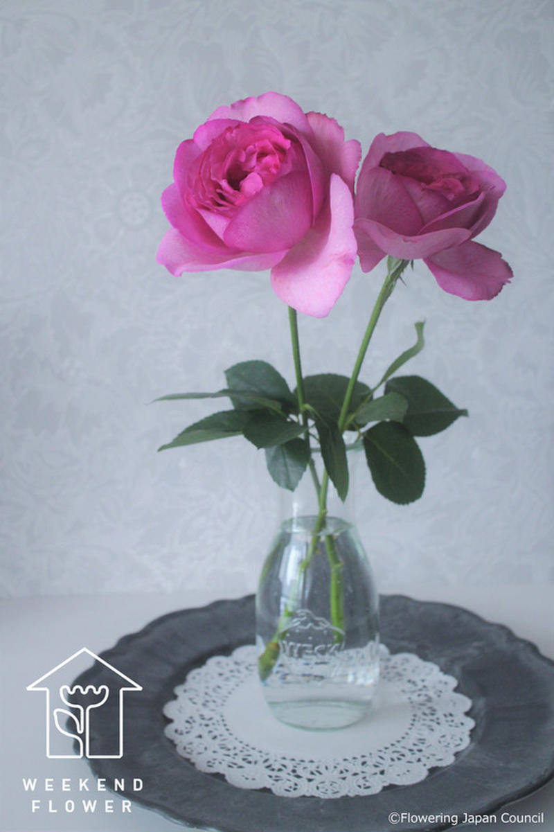 うっとり 今が旬 憧れの 香りのバラ を素敵に飾るハウツー くらしのアンテナ レシピブログ