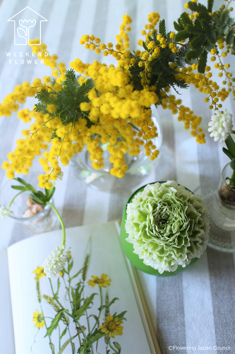 ふわっふわのミモザを飾りたい 春の花とミモザの簡単アレンジ くらしのアンテナ レシピブログ
