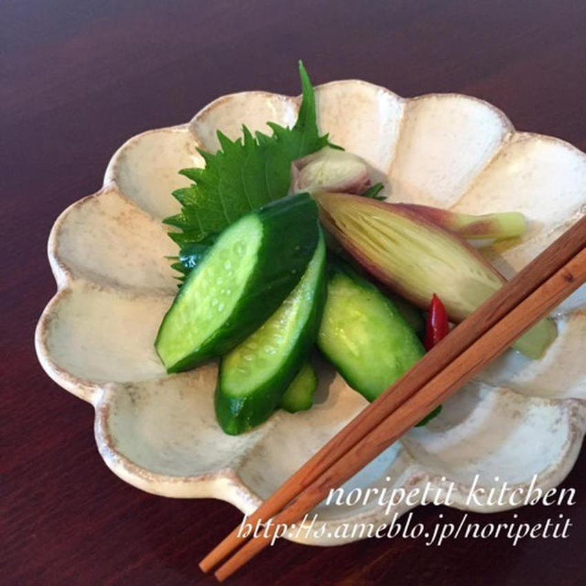 箸休めにおすすめ 昆布茶 で野菜のかんたん漬け フーディストノート