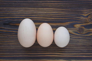 卵の大きさで目玉焼きの味が変わる？今さら聞けない「卵」の基本のき