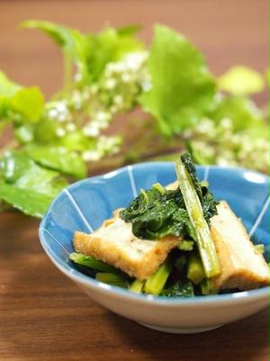 どうやって食べる？ 関西の春野菜「若ごぼう」の絶品レシピ5選