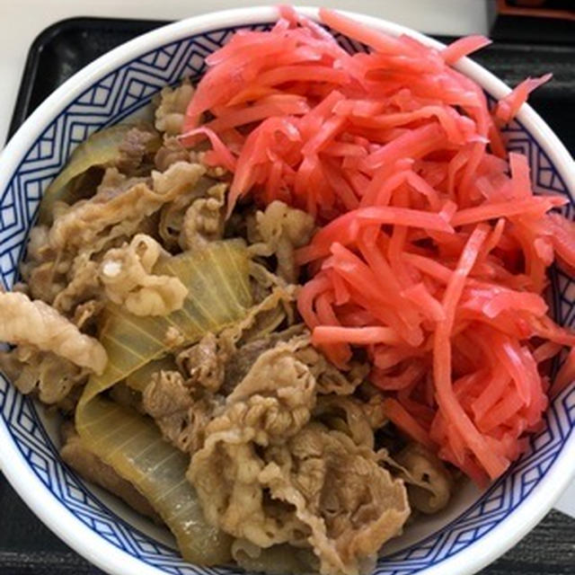 運転手の帰りに吉野家の牛丼