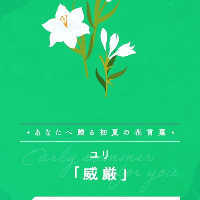 初夏の花言葉