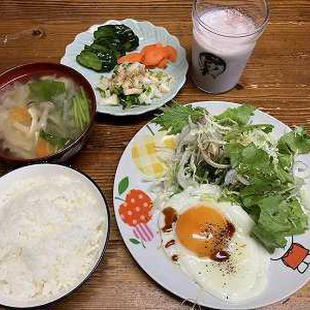 休日の朝ごはん。レタス栽培
