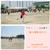 親子運動会2017
