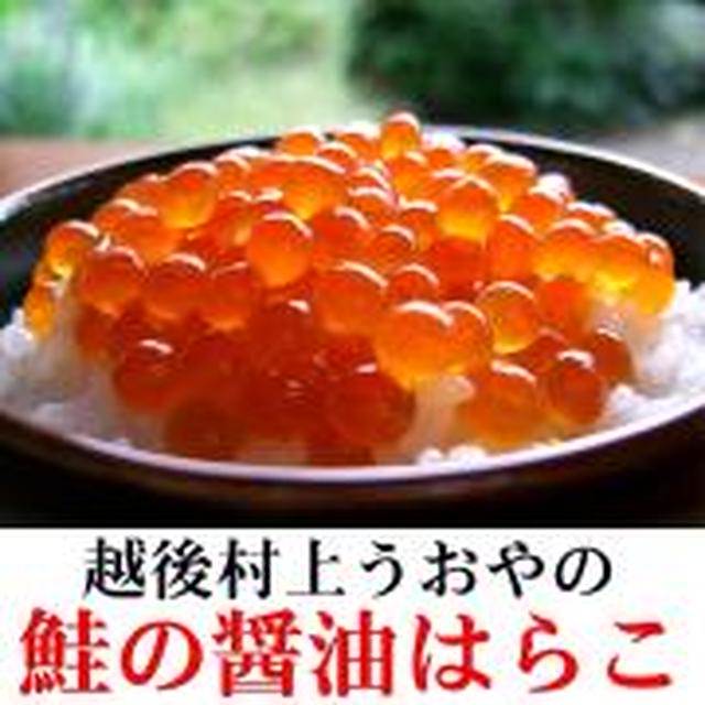 【越後村上うおや】鮭の醤油はらこ（イクラ醤油漬）ご体験！