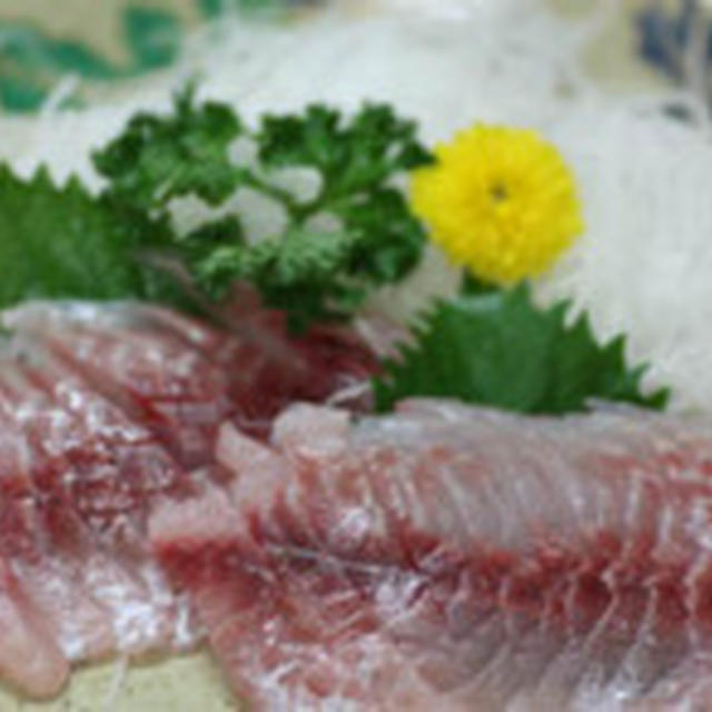 イサキのお刺身と「がんばれ元気」