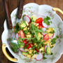 Summer Harvest Salad on Riceサマーハーベストサラダライス