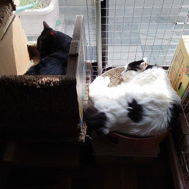 個室でお昼寝…