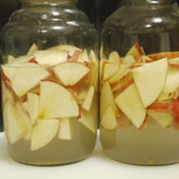 リンゴ酵素液作り