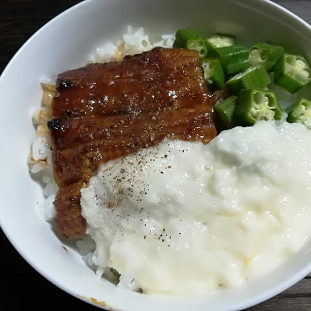 トロトロうなぎ丼