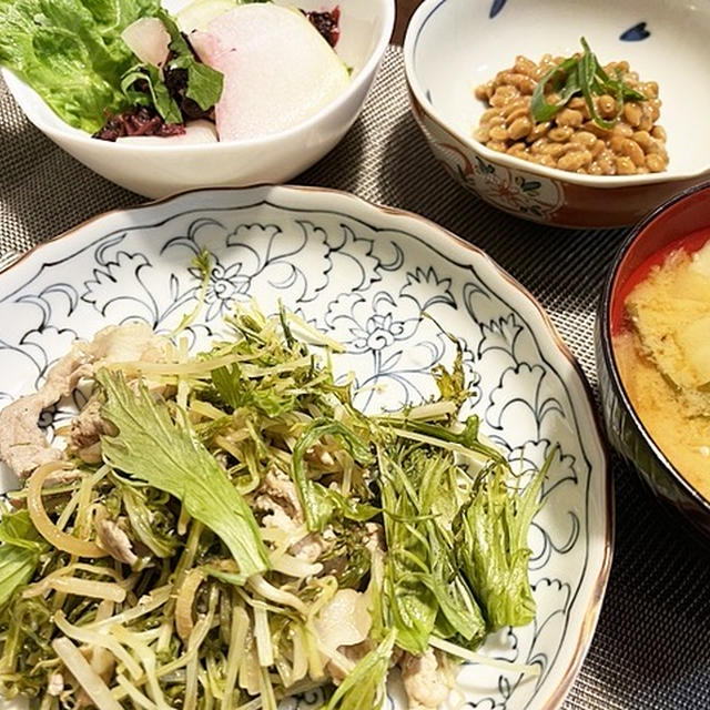 にゃんこ博覧会にお出かけ＆水菜と豚肉