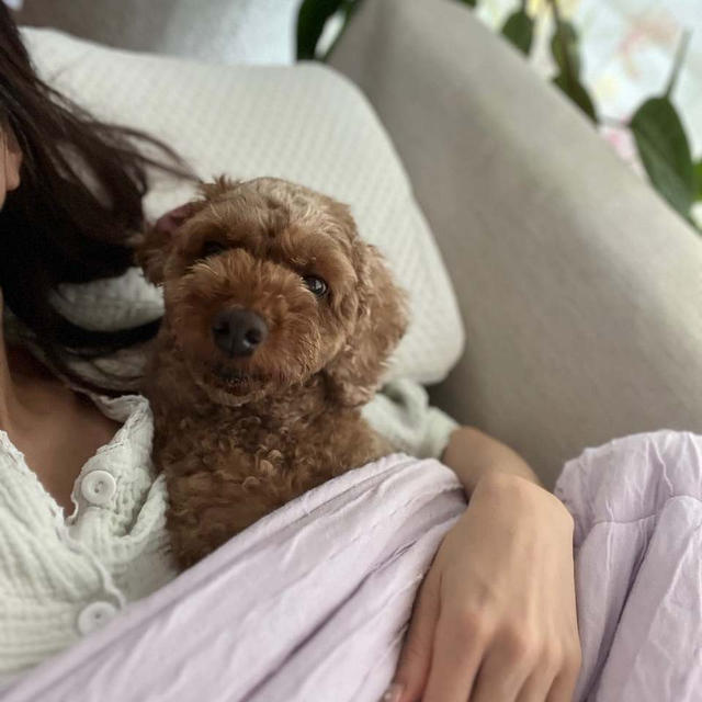 犬耳アロマセラピー