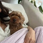 犬耳アロマセラピー