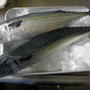 久々の魚おろし修行の話