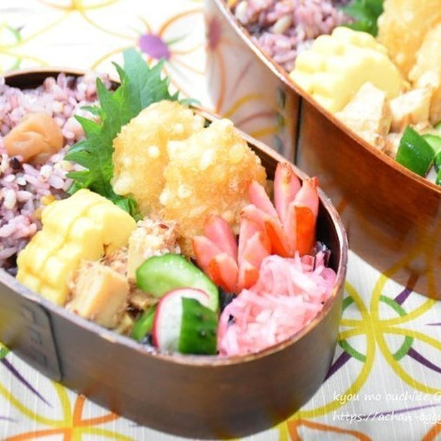 【毎日のお弁当】1/5・1/9～1/12