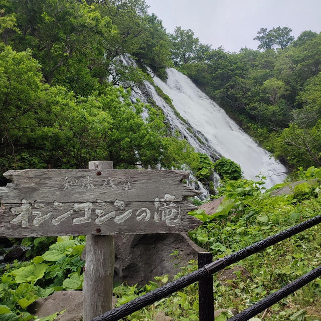 北海道旅行　3
