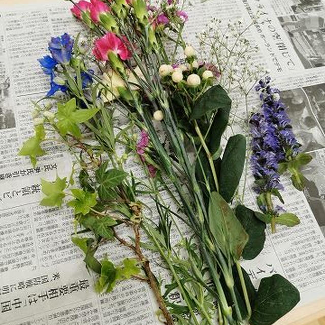 春の息吹