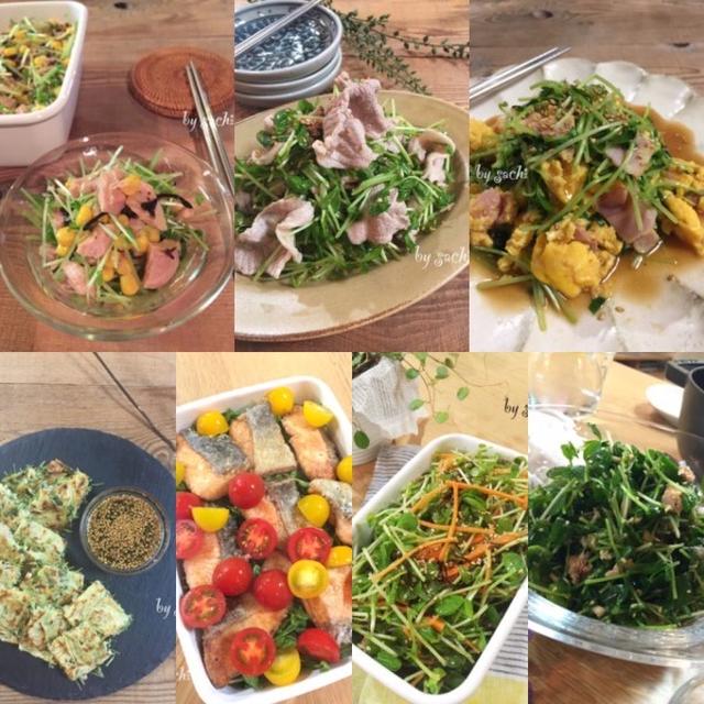 年中安定した価格の緑黄色野菜『豆苗』の簡単レシピ7選♡