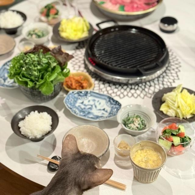 野球観戦から帰ってきてから、だんなさまがサクッと作ってくれた焼肉の夜ごはん
