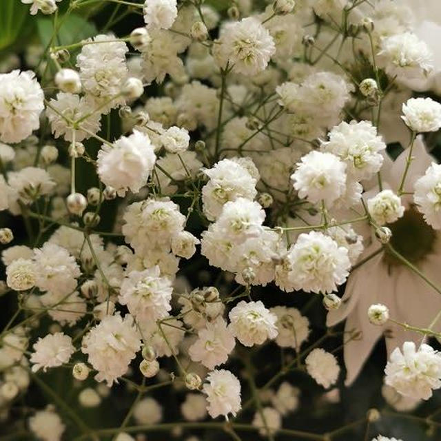 仏花の手配