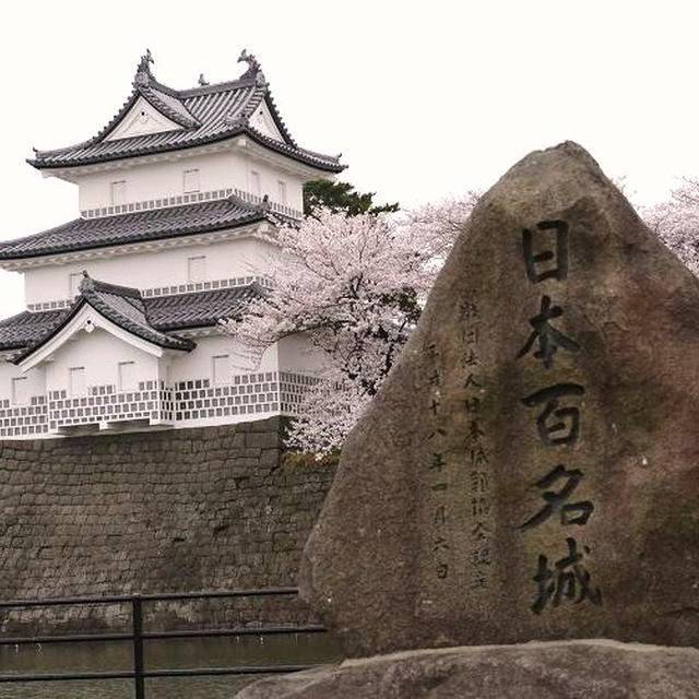 新発田市「菖蒲城（あやめじょう）」とカルチャーセンターの桜　　ミィーちゃんは土の上