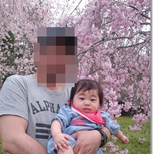 赤ちゃんアルある？難しい家族写真とお花見♪と２回食のタイミング