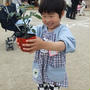 ４歳の息子がプティトマトを植えました