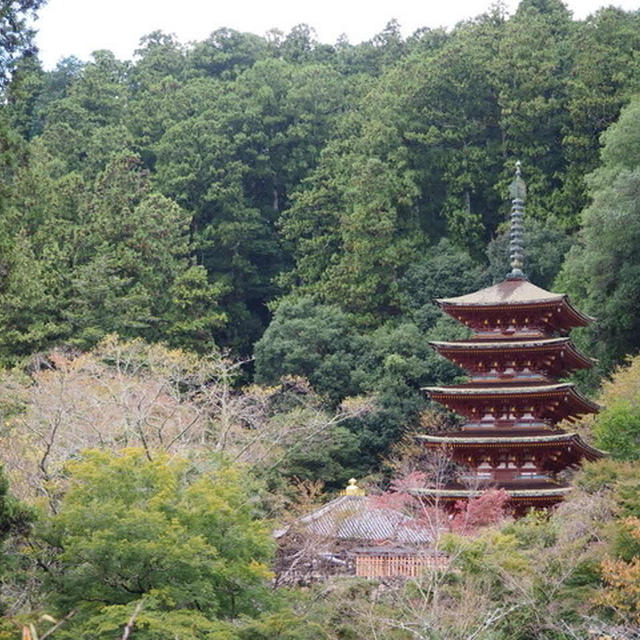 ひとっ走り旅 『奈良　長谷寺　その③』