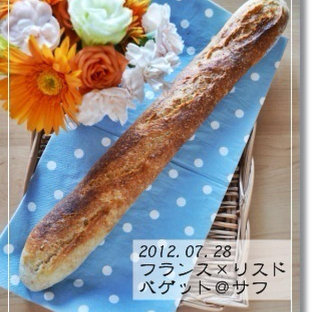 第六十二章　再フランス×リスド