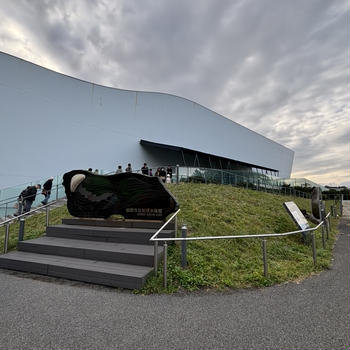 秋の東北ミステリー　?鶴岡加茂水族館