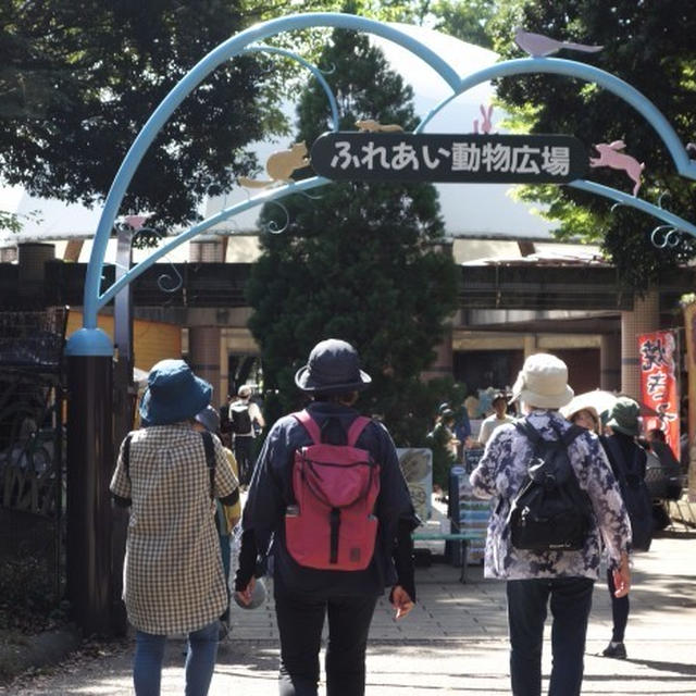 ■ウォーキンク続【相模原麻溝公園２】