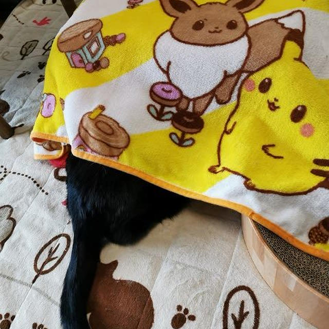 コタツもどきのモドキ...