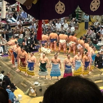 【ダイエット】健康のためダイエットはじめました951〜955日〜大相撲五月場所12日目