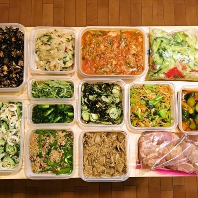 2016年8月21日の作り置き（13品）