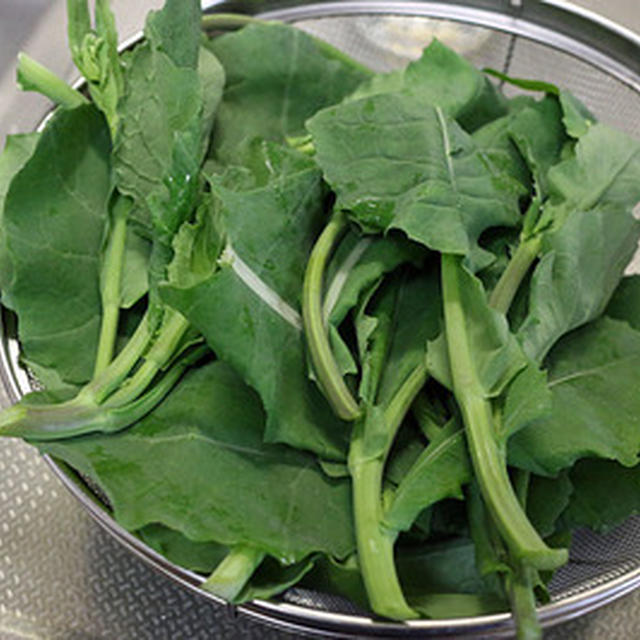 初めての野菜「のらぼう菜」