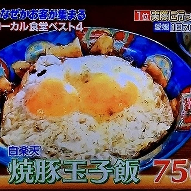 カン散歩