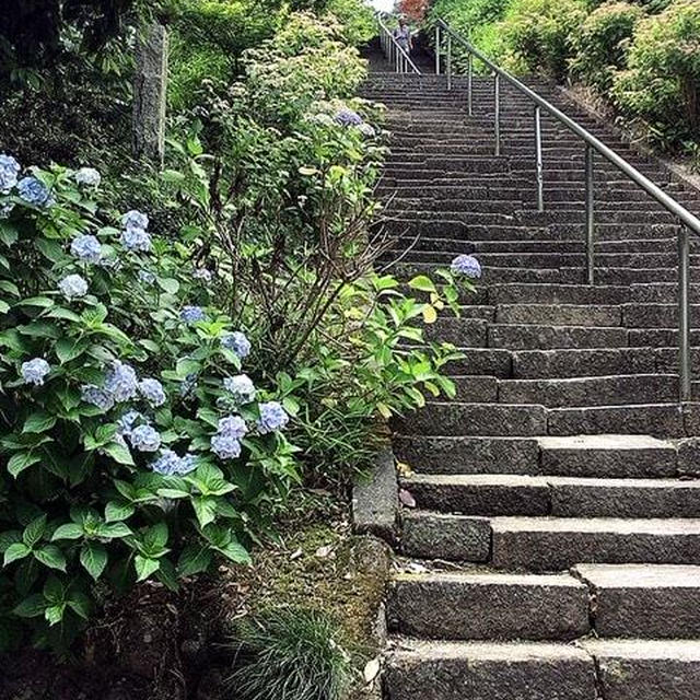 行きはヨイヨイ帰りは眠い