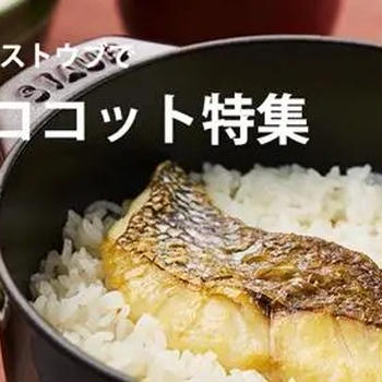 【STAUB】おいしいご飯 GOHNココット特集 で ラココットデゴハンが20％OFF！ツヴィリング ストウブ セール