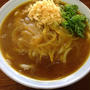 今朝の麺はいりこだしの「カレーうどん」