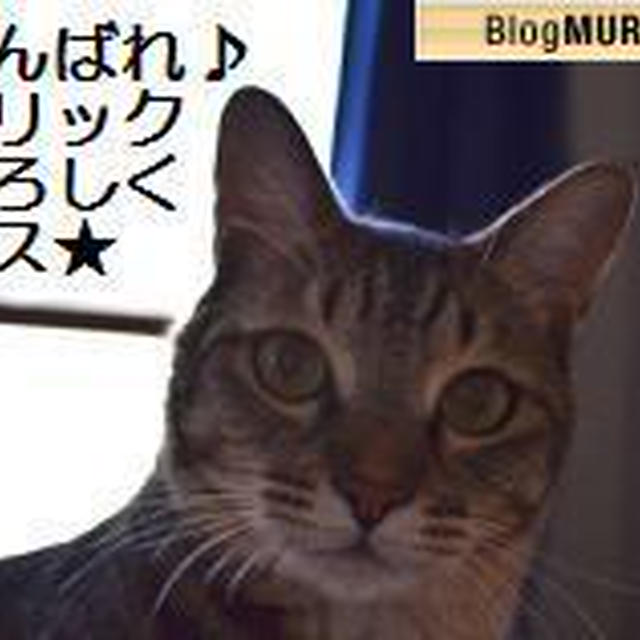 【携帯より】勉強不足…
