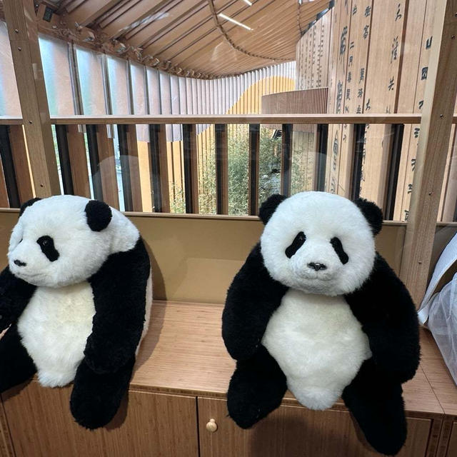 【大阪関西万博】圧巻スケールなのに惜しい！ツッコミ鑑賞も楽しい中国パビリオン