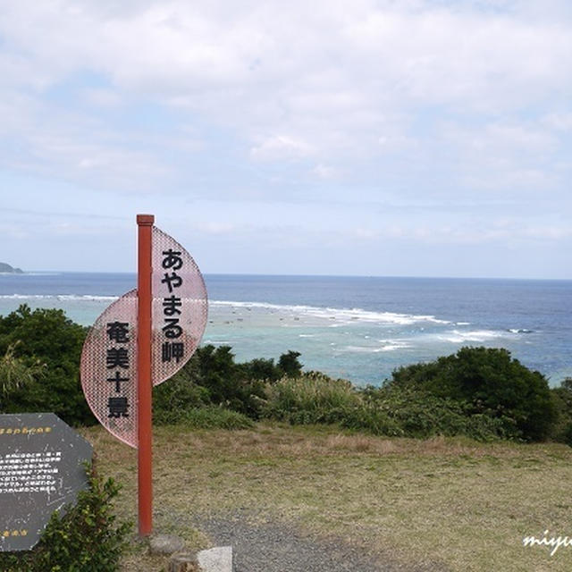 奄美大島の旅日記。人生初！パラグライダー。
