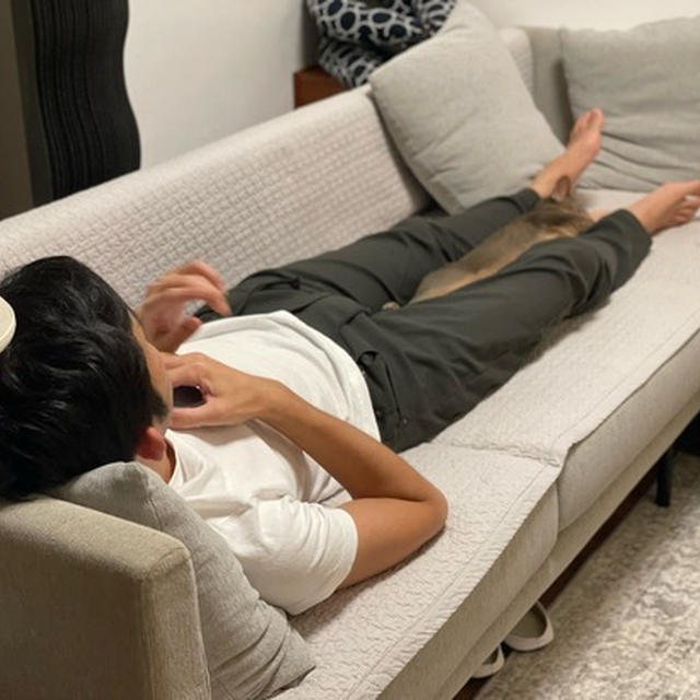 ジャストフィット坊