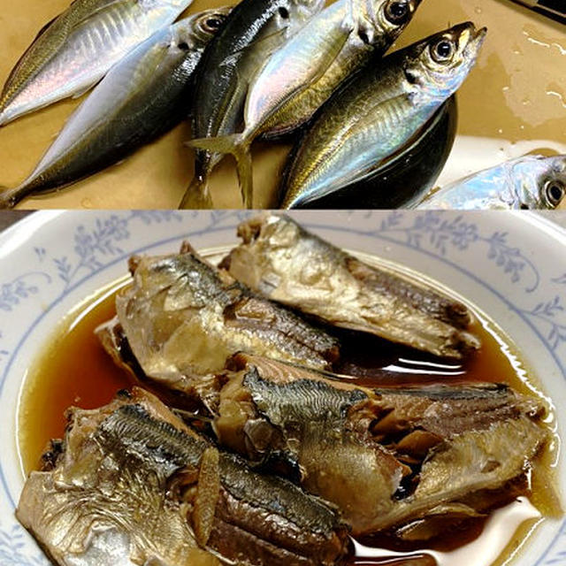 釣ってきたアジを頂いて！圧力鍋で骨まで柔らかいアジの梅酢煮♪