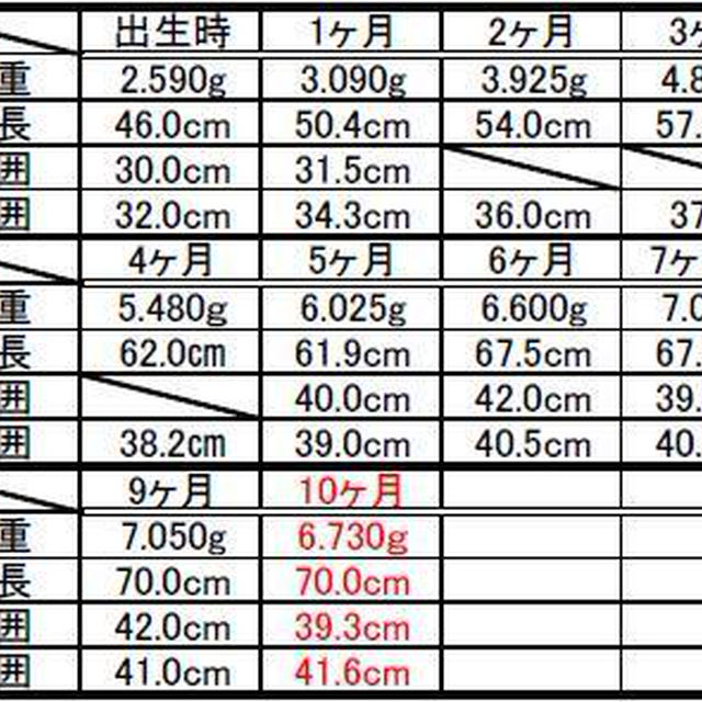 ﾟ･*:.｡.10ヶ月健診＆不活化ポリオ.｡.:*･ﾟ