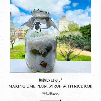 【Cooking x レシピ】梅仕事2025 麹シロップ