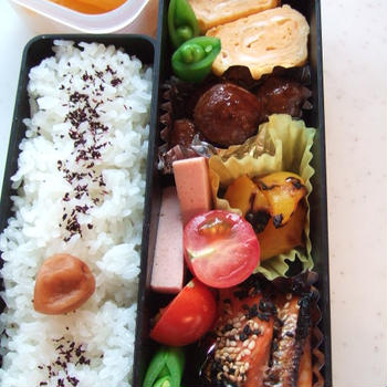 がっつり弁当を・・・