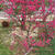 Spring has come